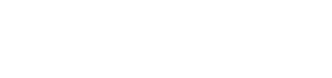 Fort Security